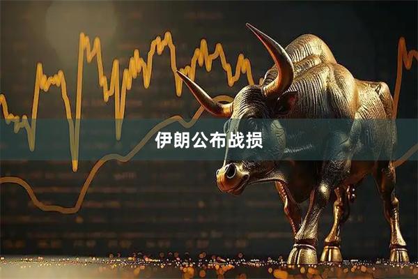 伊朗公布战损