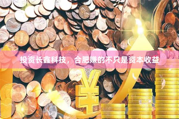 投资长鑫科技，合肥赚的不只是资本收益