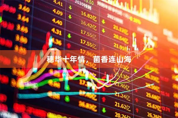 穗毕十年情，菌香连山海