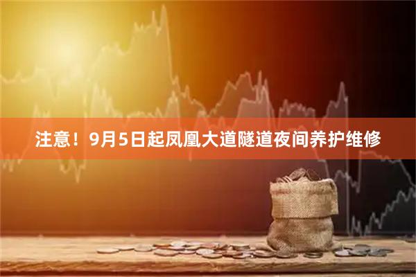 注意！9月5日起凤凰大道隧道夜间养护维修